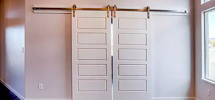 Glass Barn Door with Installation Hardware Kit Rock Springs
